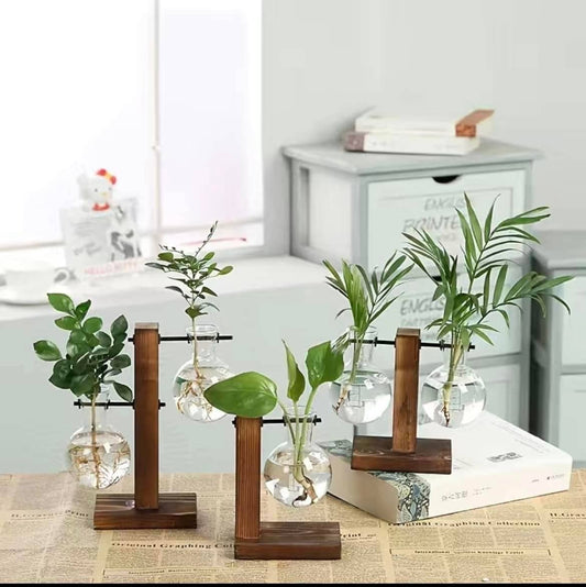 Hydroponic Planter, Flower Pot, Mini Plant: Style A